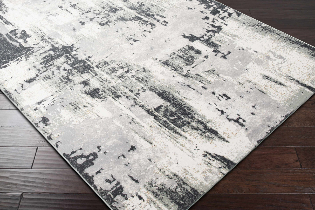 Aquebogue Area Rug - Clearance