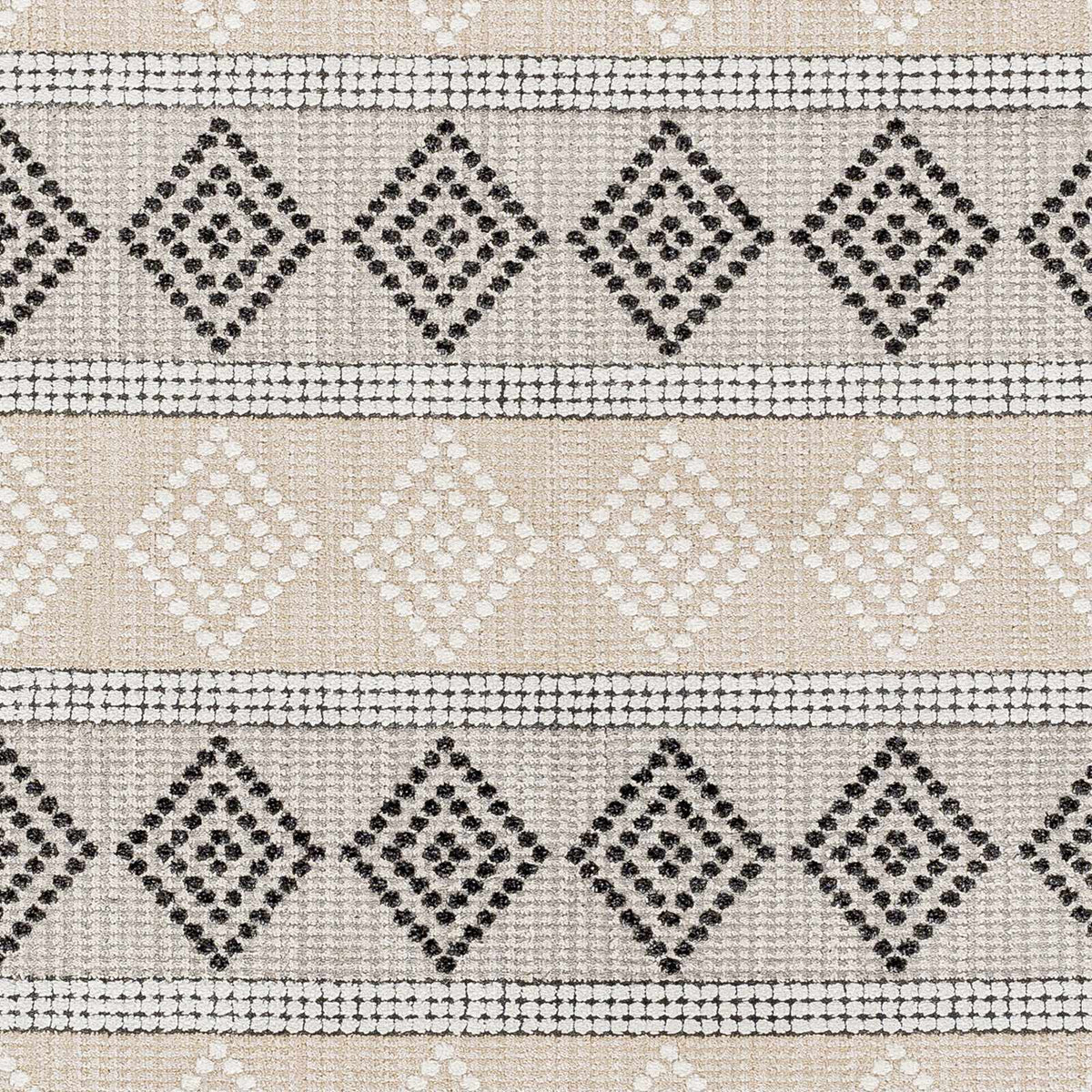 Arij Area Rug - Clearance