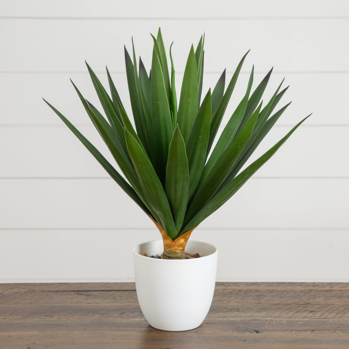 15” UV Resistant Artificial Agave Plant in White Planter (Indoor/Outdoor)