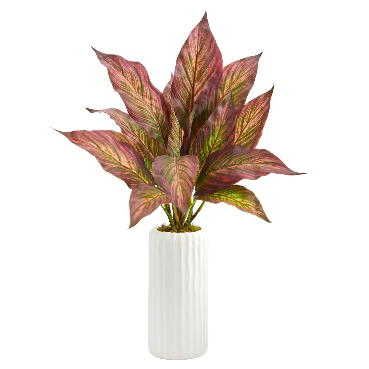 19” Musa Leaf Artificial Plant in White Planter