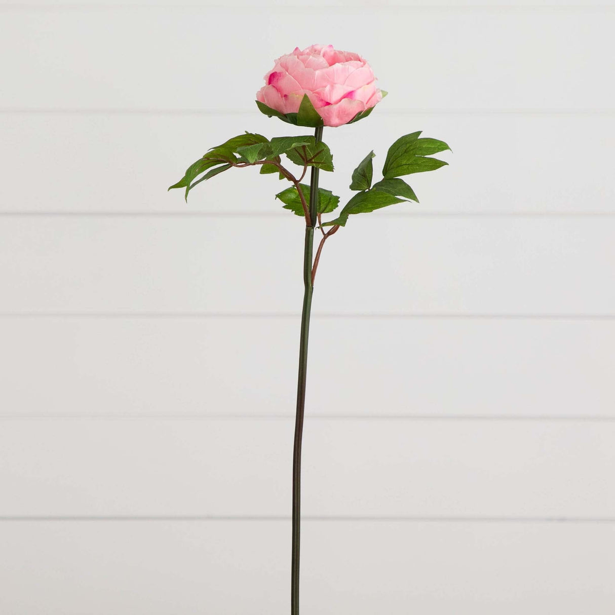 20"Artificial Peony Flower Stems - Set of 3
