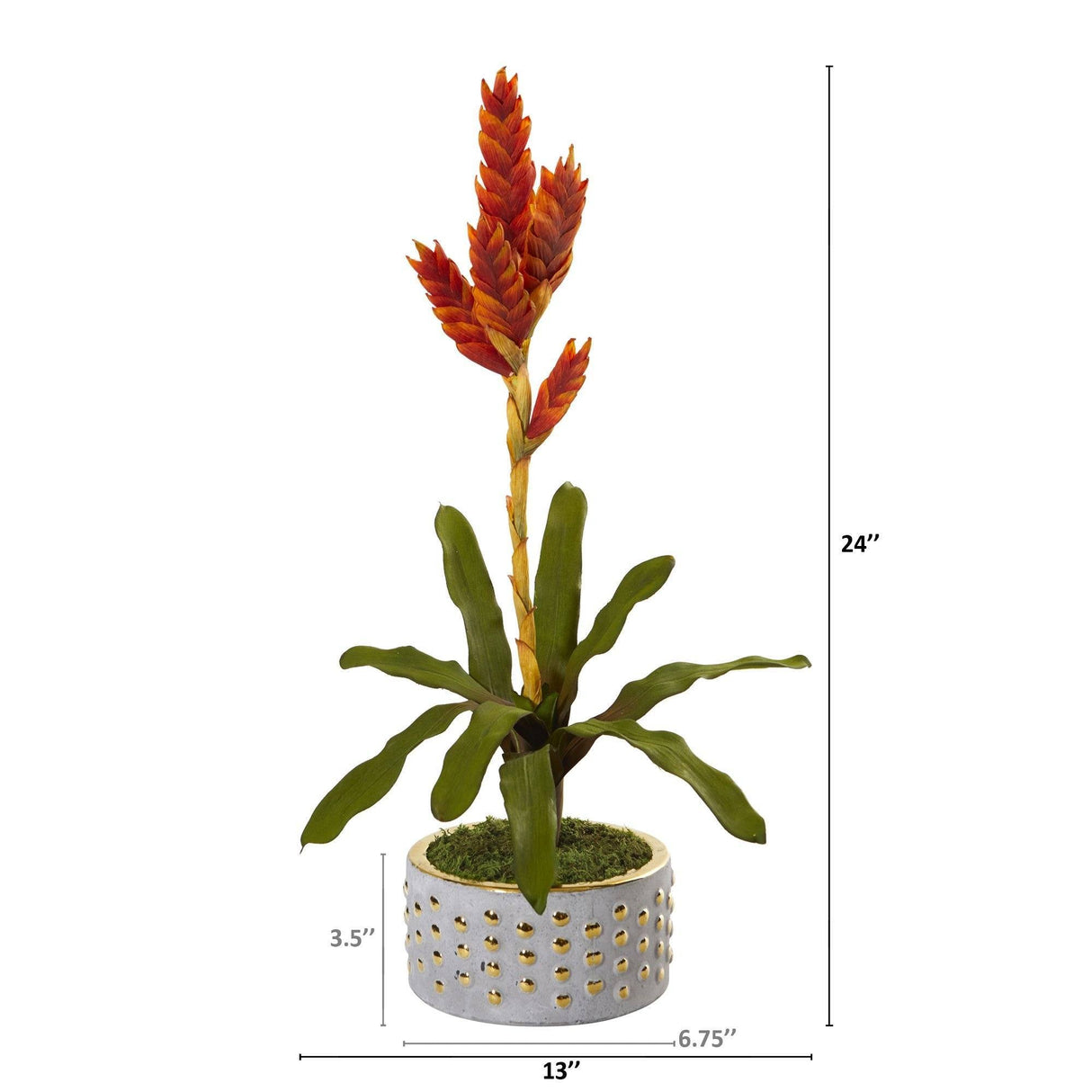 24” Tropical Bromeliad Artificial Plant in Bowl with Gold Trimming