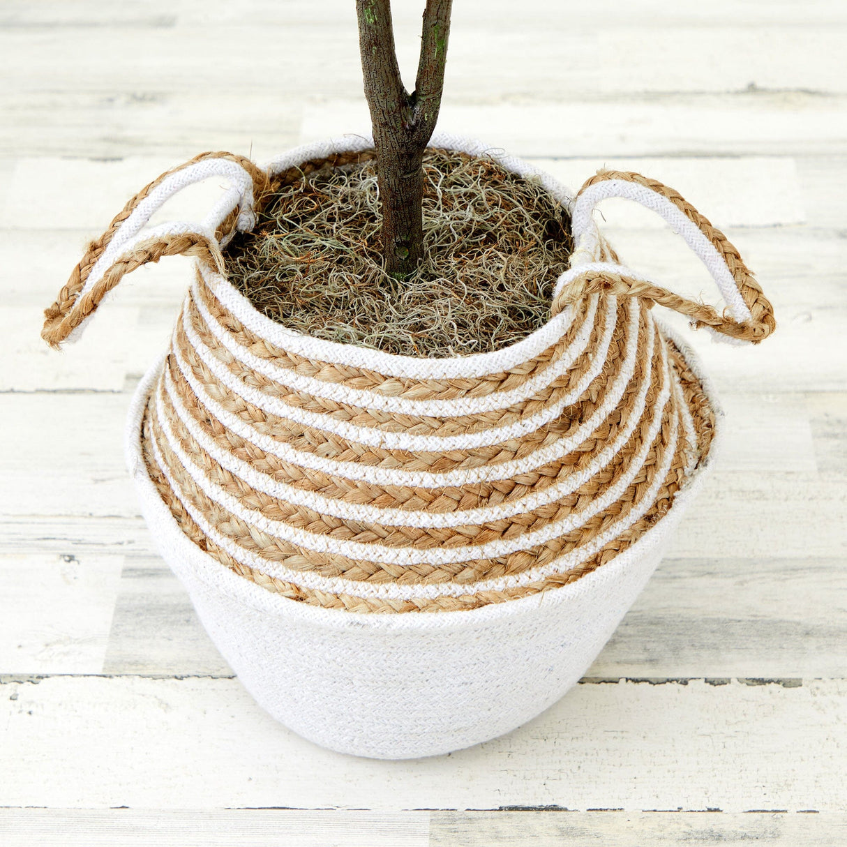 3' Artificial Fiddle Leaf Fig Tree with Handmade Cotton & Jute Woven Basket DIY Kit