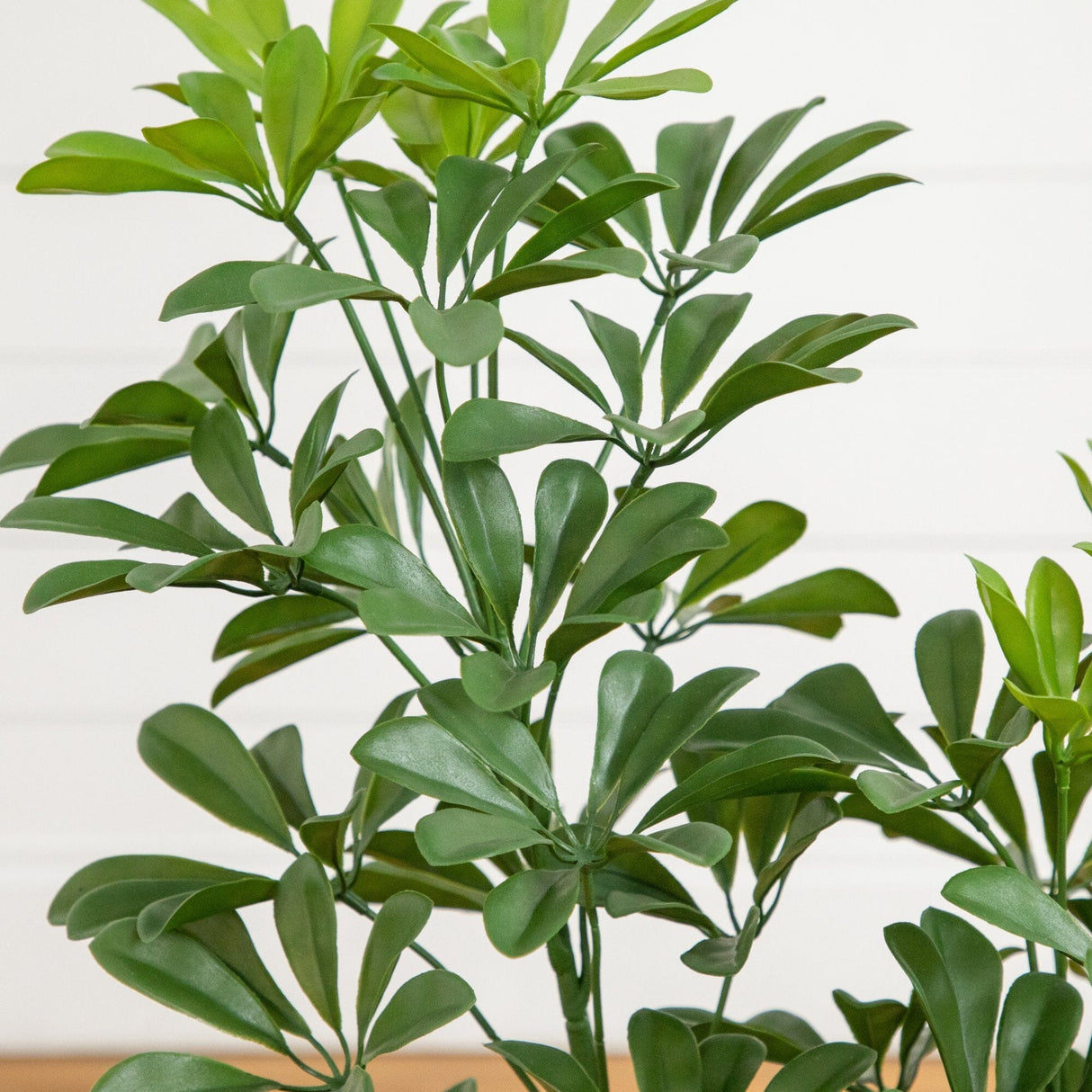 31” UV Resistant Artificial Schefflera Tree in White Decorative Planter (Indoor/Outdoor)