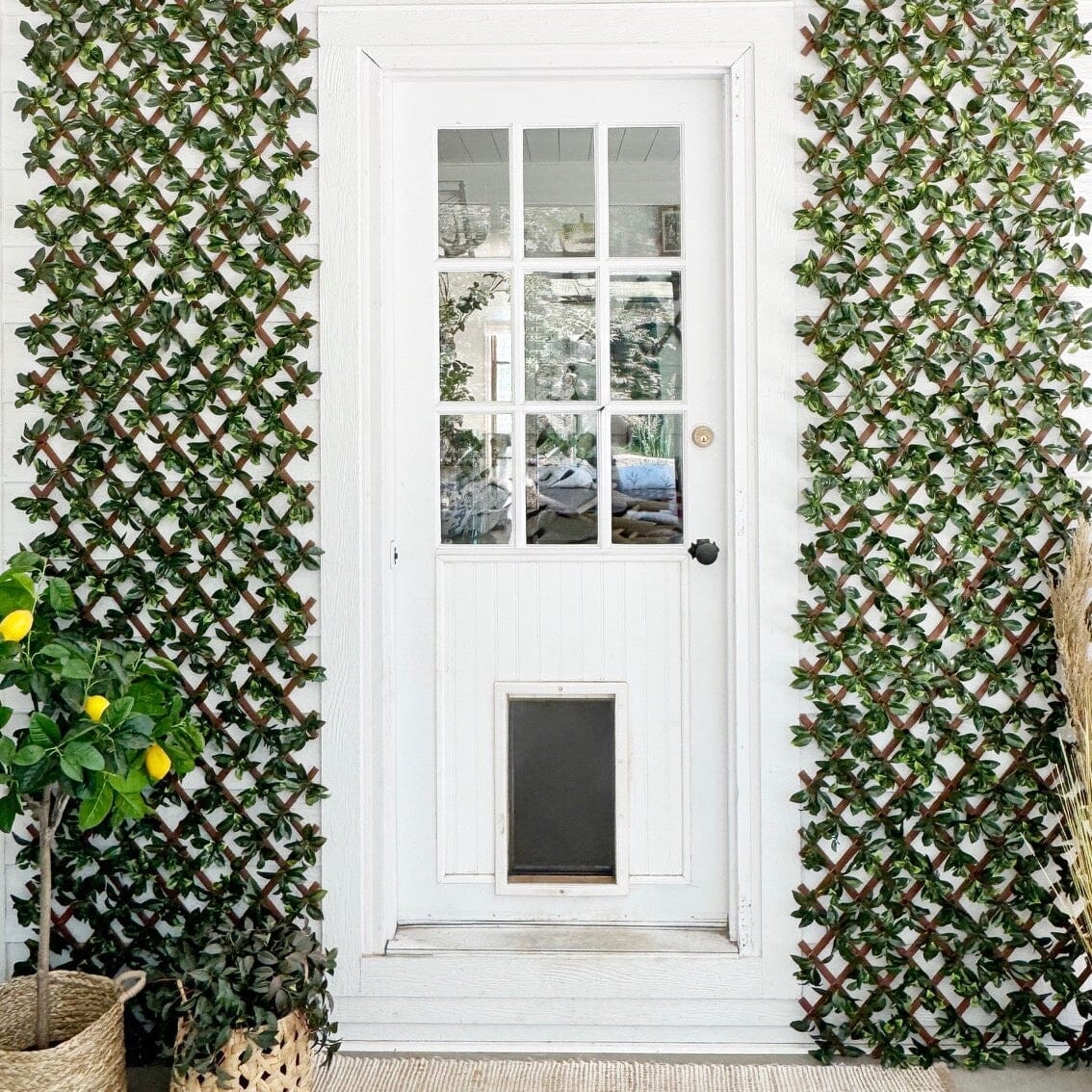 36” x 72" UV Resistant Artificial Gardenia Expandable Privacy Fence Screen (Indoor/Outdoor)