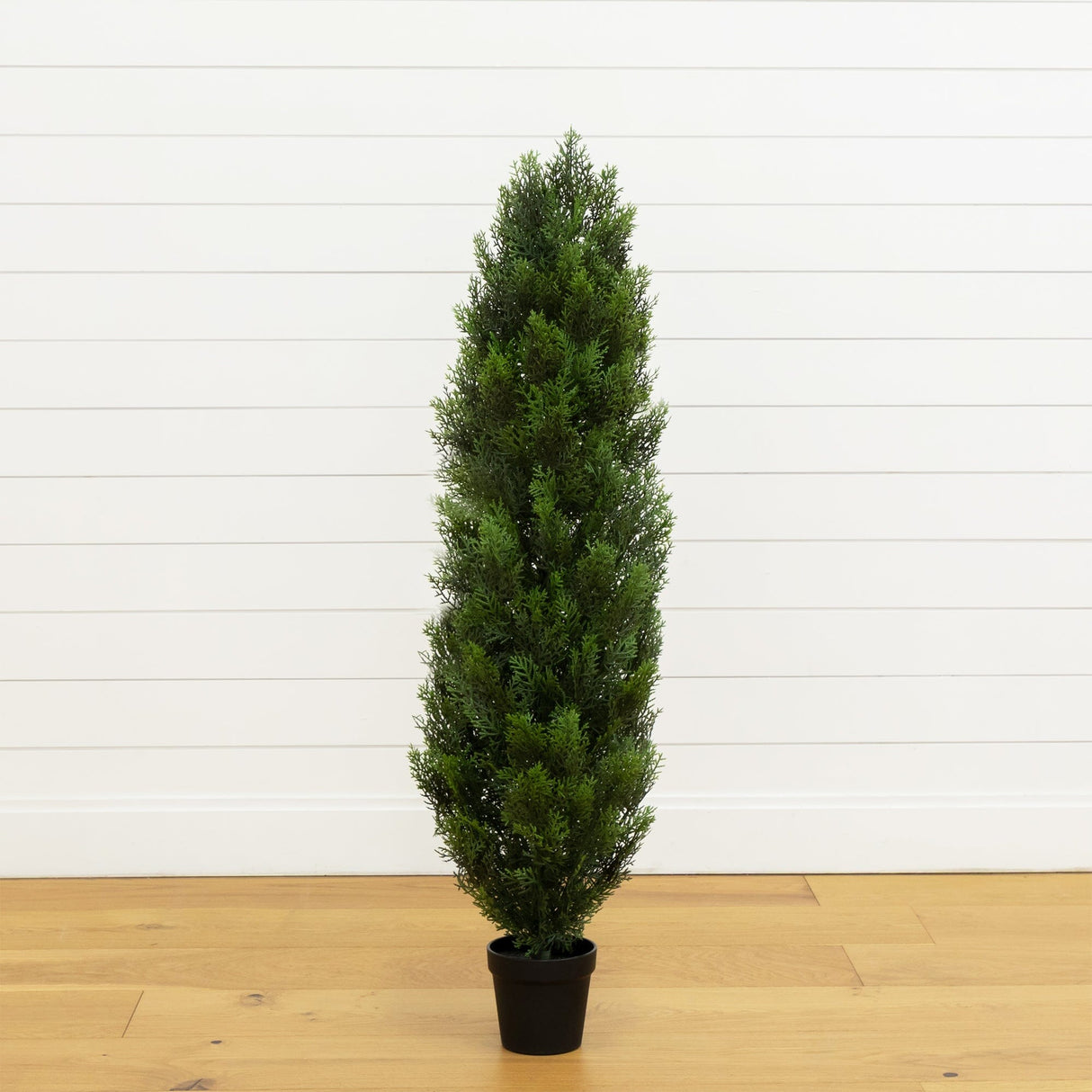 4' Cedar Tree Silk Tree (Indoor/Outdoor)