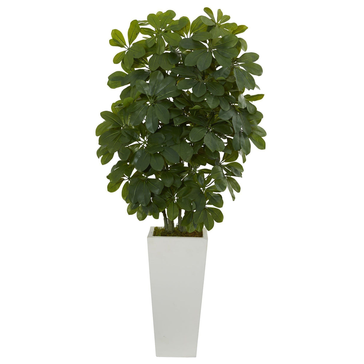40” Schefflera Artificial Plant in White Vase (Real Touch)