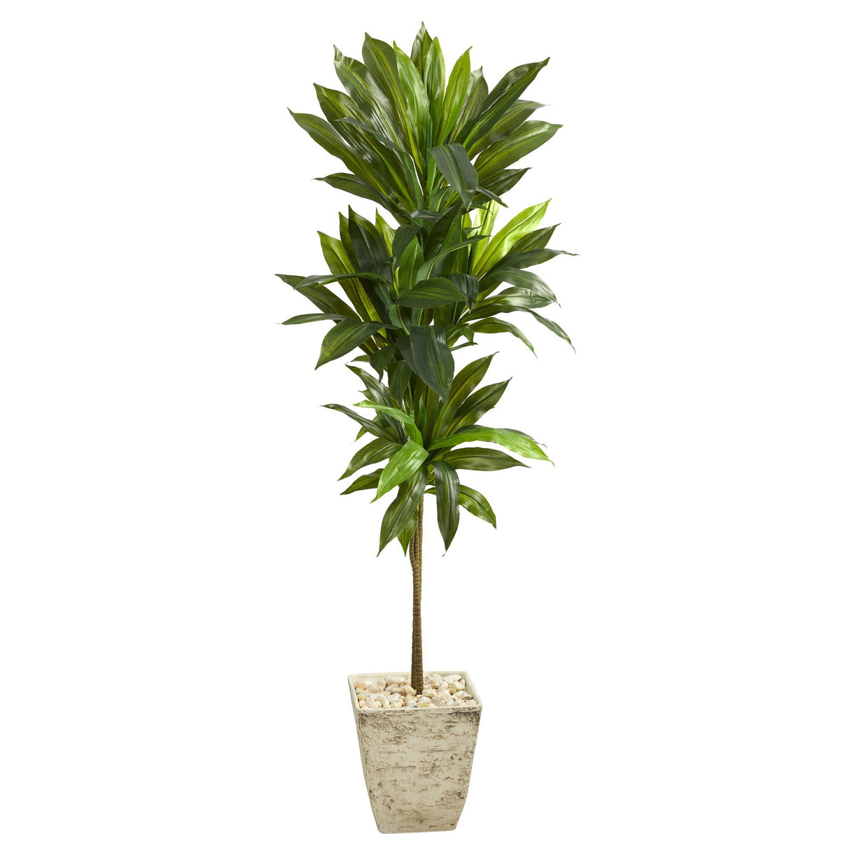5’ Dracaena Artificial Plant in Country White Planter (Real Touch)