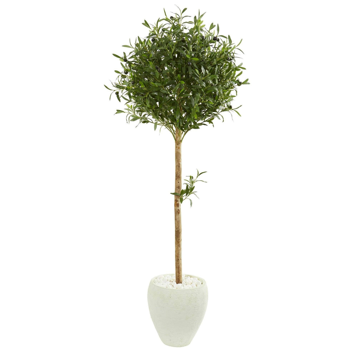5’ Olive Topiary Artificial Tree in White Planter