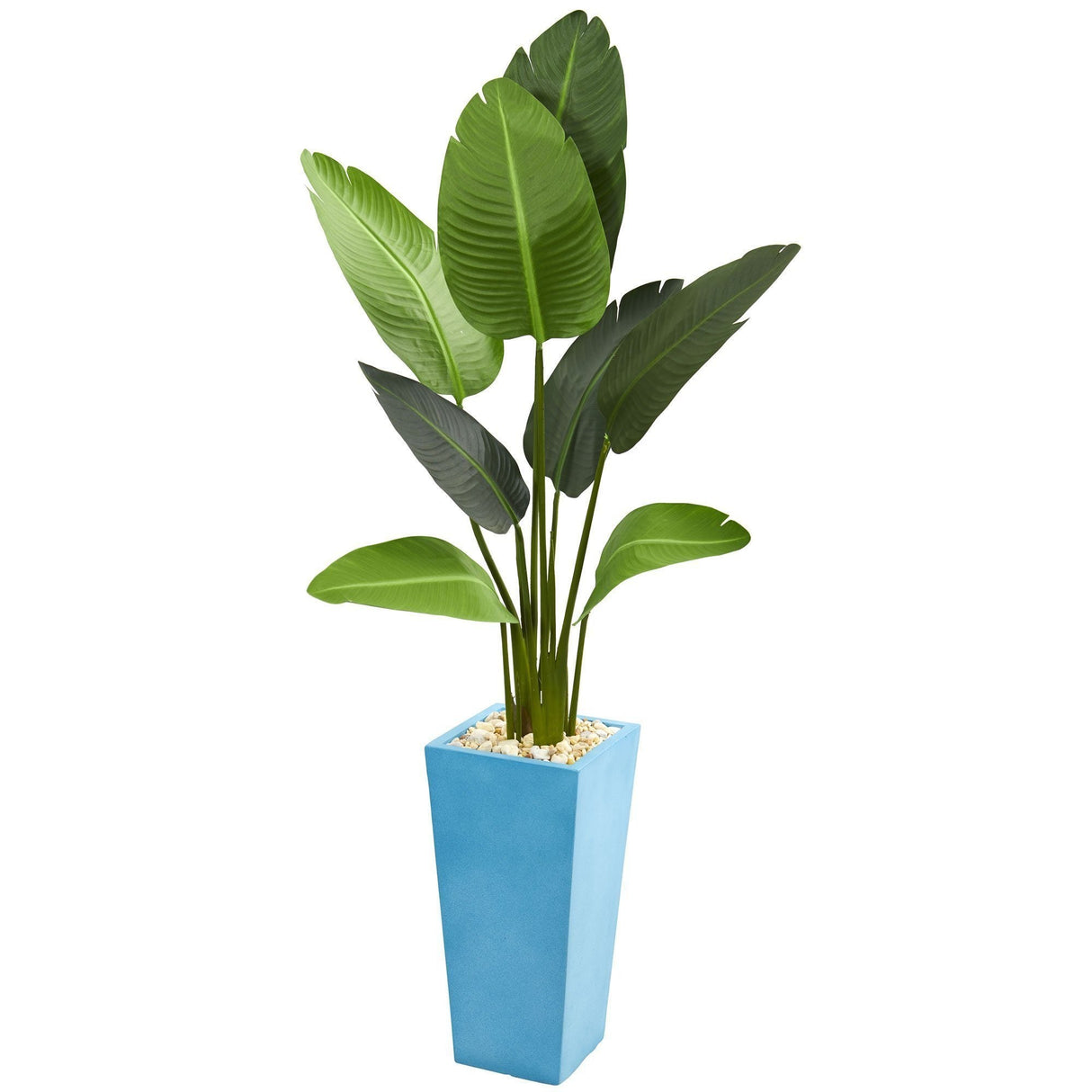 5’ Traveler's Artificial Palm Tree in Turquoise Planter