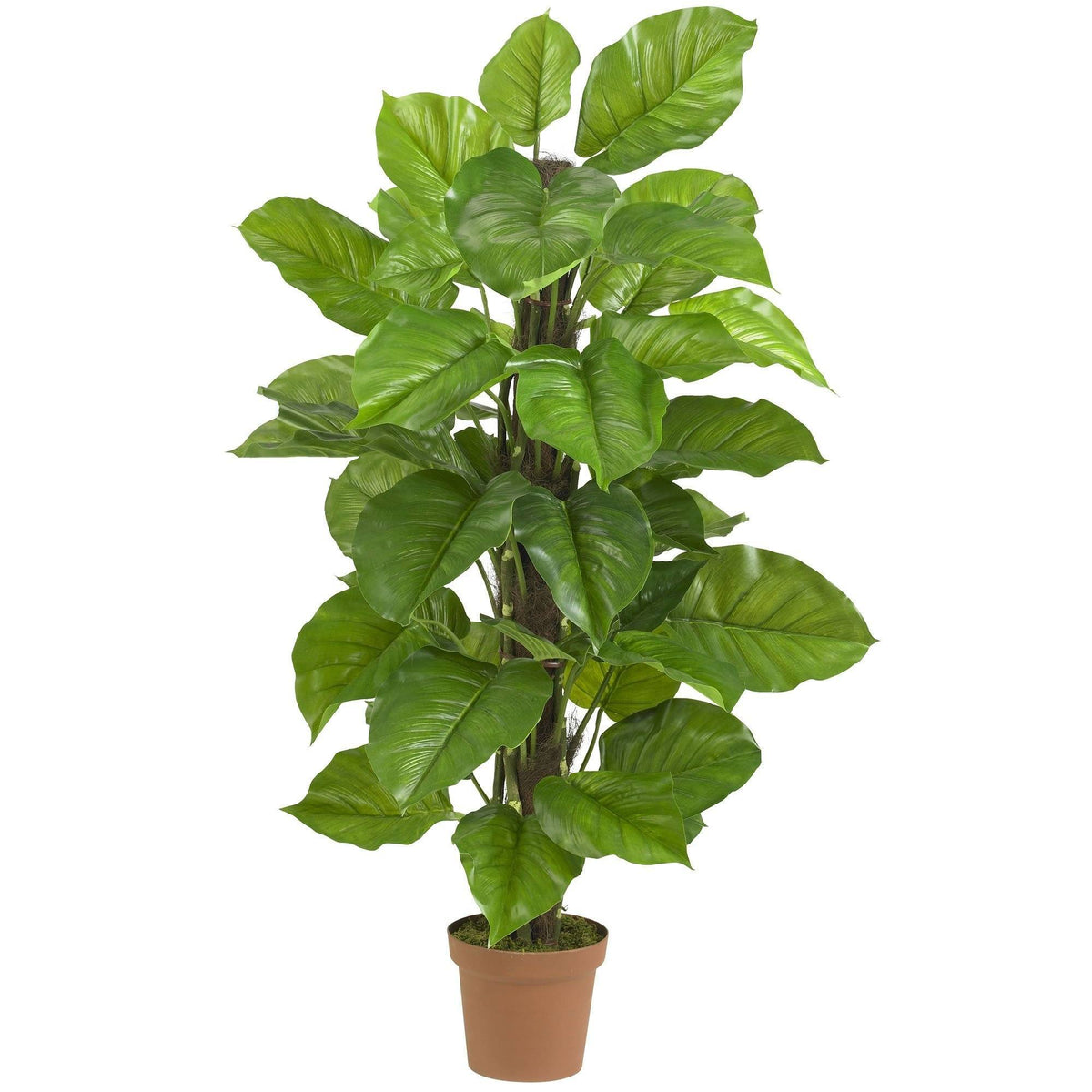 artificial philodendron leaves 52" Large Leaf Philodendron Silk Plant(Real Touch)" – Tuesday Morning