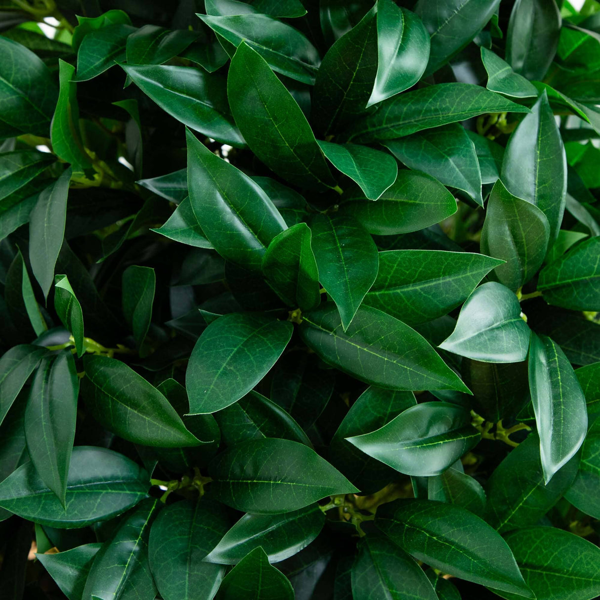 56” Bay Leaf Cone Topiary Artificial Tree UV Resistant in Black Planter (Indoor/Outdoor)