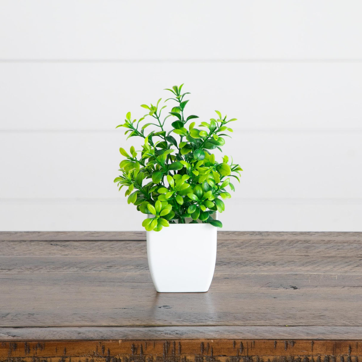 6” Artificial Mixed Botanical Plant in White Square Pot - Set of 4