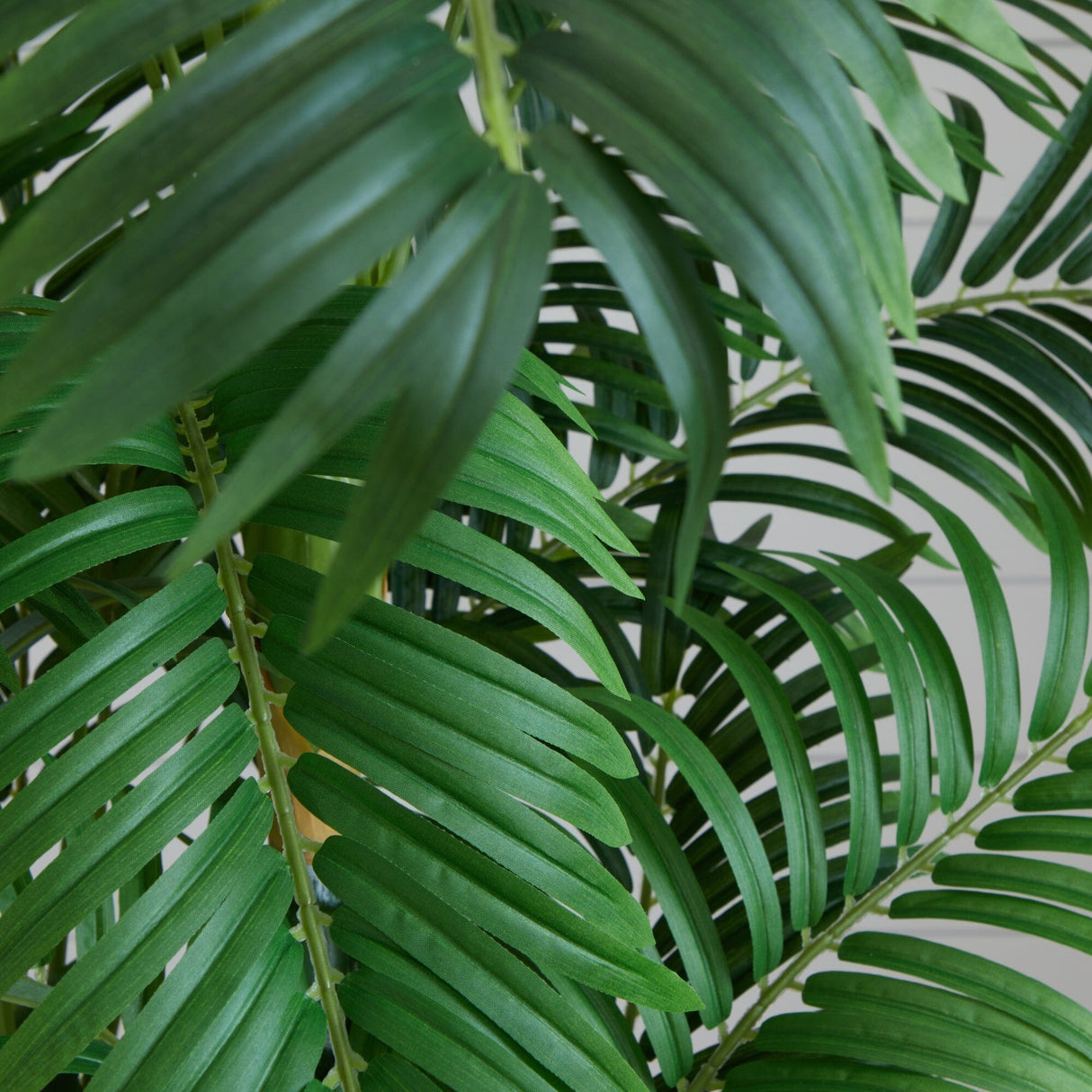 6’ Curvy Parlor Palm Silk Tree