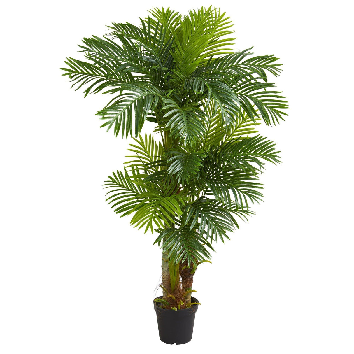 6’ Hawaii Artificial Palm