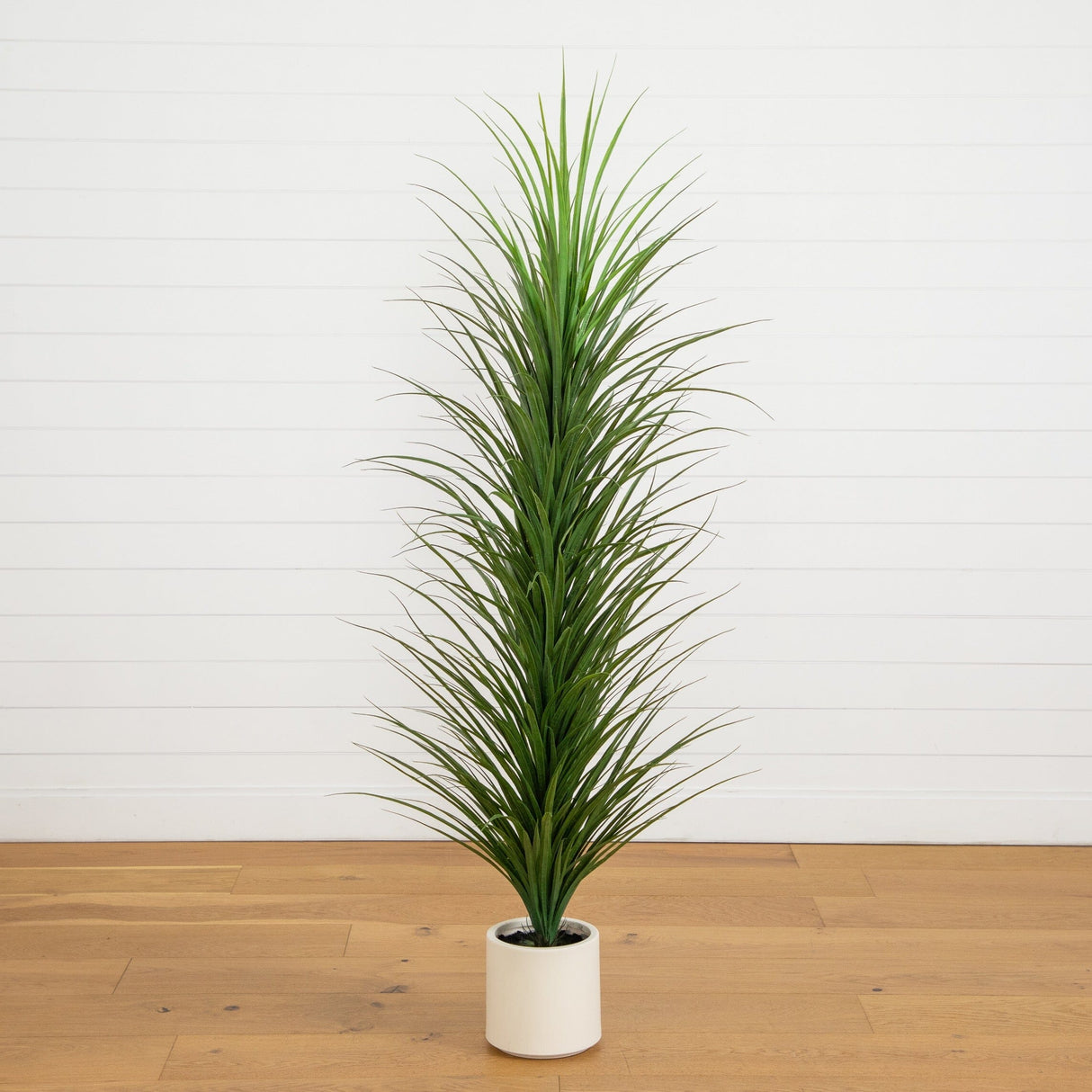 6’ UV Resistant Artificial Grass Plant in White Decorative Planter (Indoor/Outdoor)