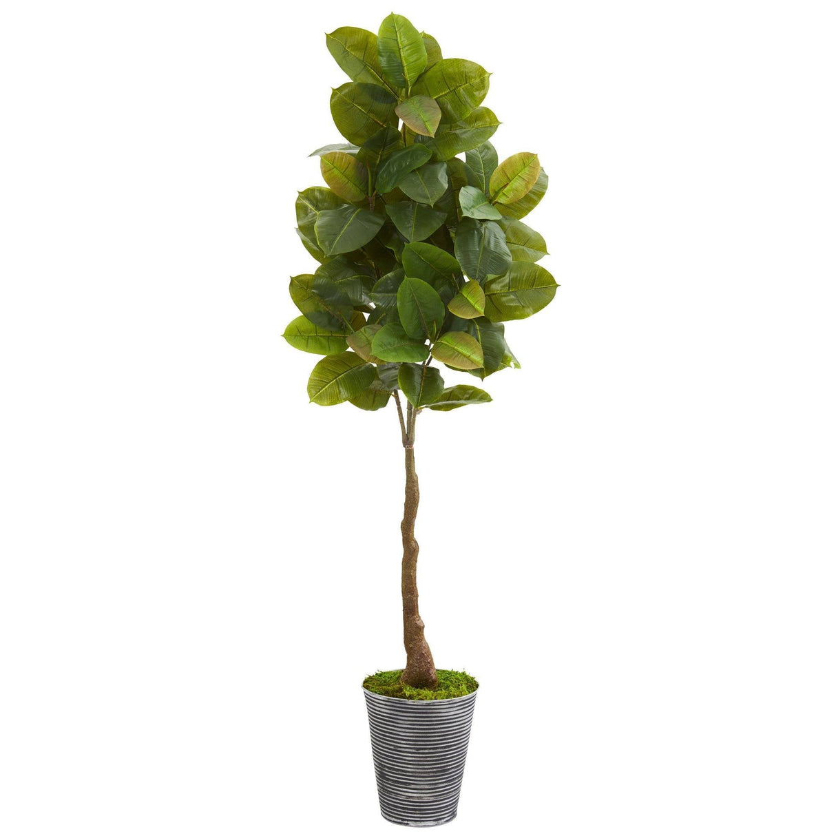 65” Rubber Leaf Artificial Tree in Decorative Tin Planter (Real Touch)