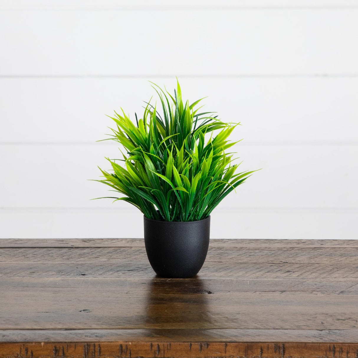 7” Artificial Mixed Botanical Plant in Black Square Pot - Set of 4