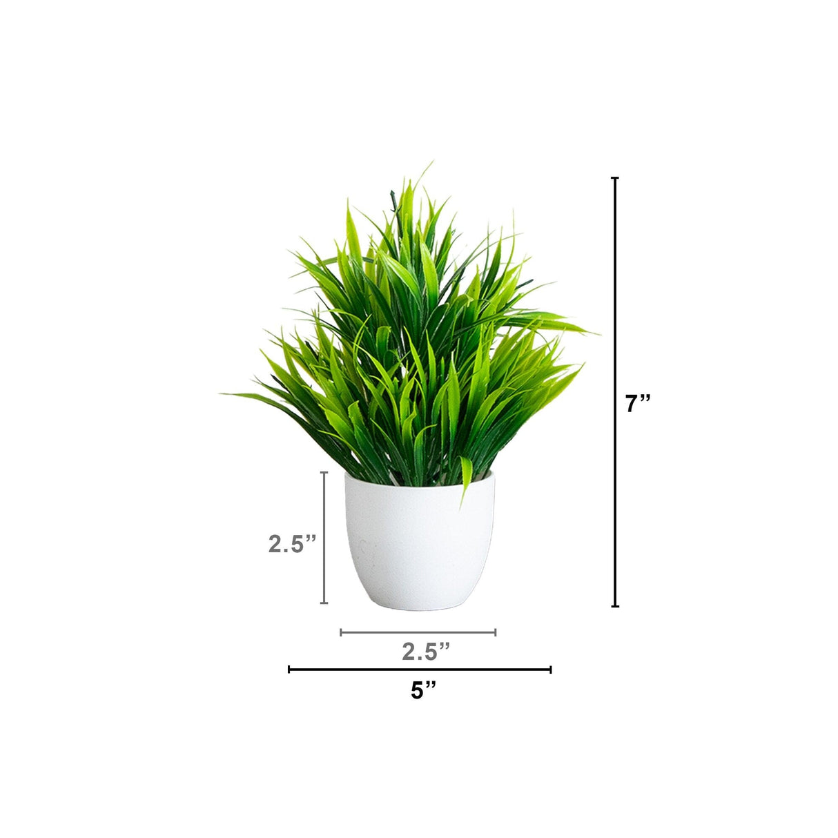 7” Artificial Mixed Evergreen Plant in White Round Pot - Set of 3