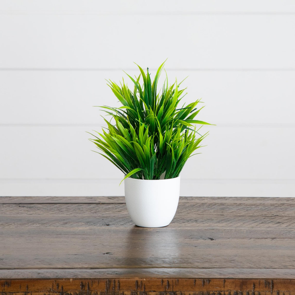 7” Artificial Mixed Evergreen Plant in White Round Pot - Set of 3