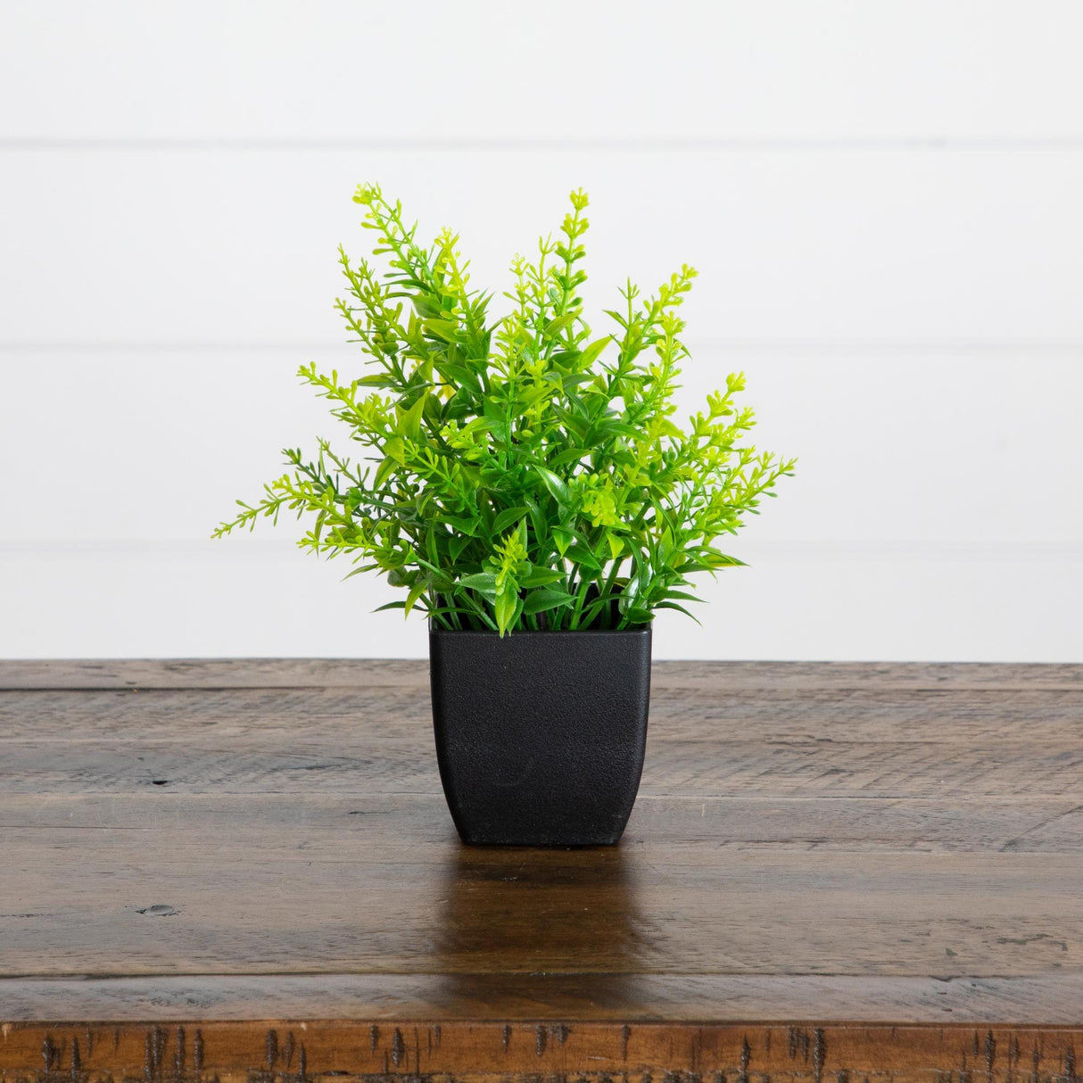7” Artificial Mixed Topiary Plant in Black Square Pot - Set of 4