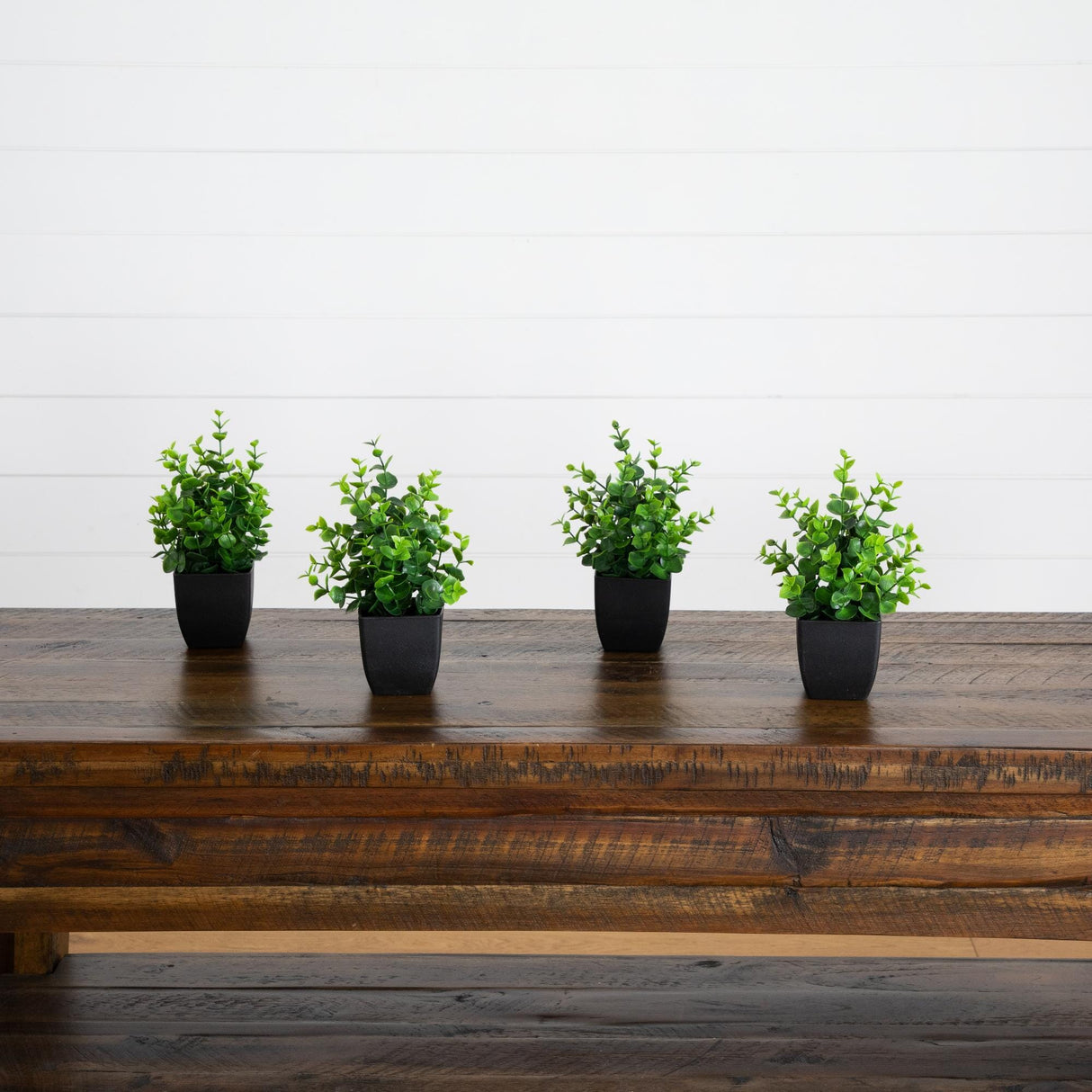 8” Artificial Boxwood in Black Square Pot - Set of 4