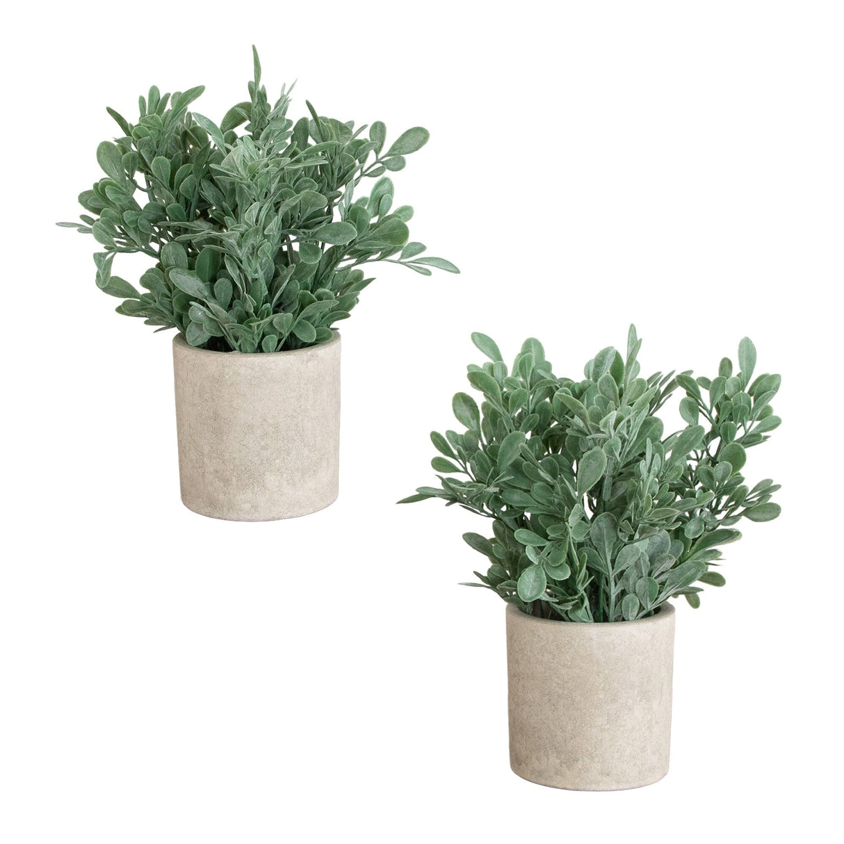 8" Artificial Boxwood in Decorative Planter - Set of 2