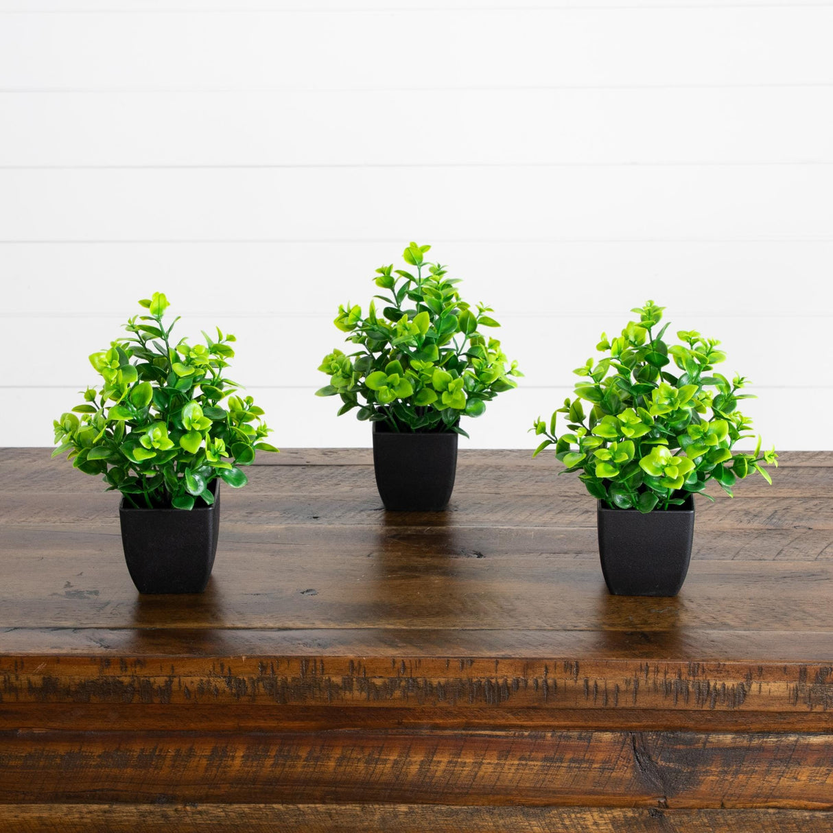 8” Artificial Evergreen Boxwood Plant in Black Square Pot - Set of 3