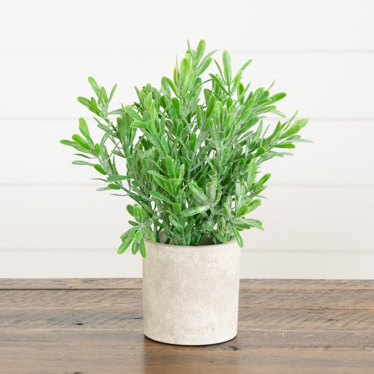 8" Artificial Mixed Plant in Decorative Planter - Set of 3