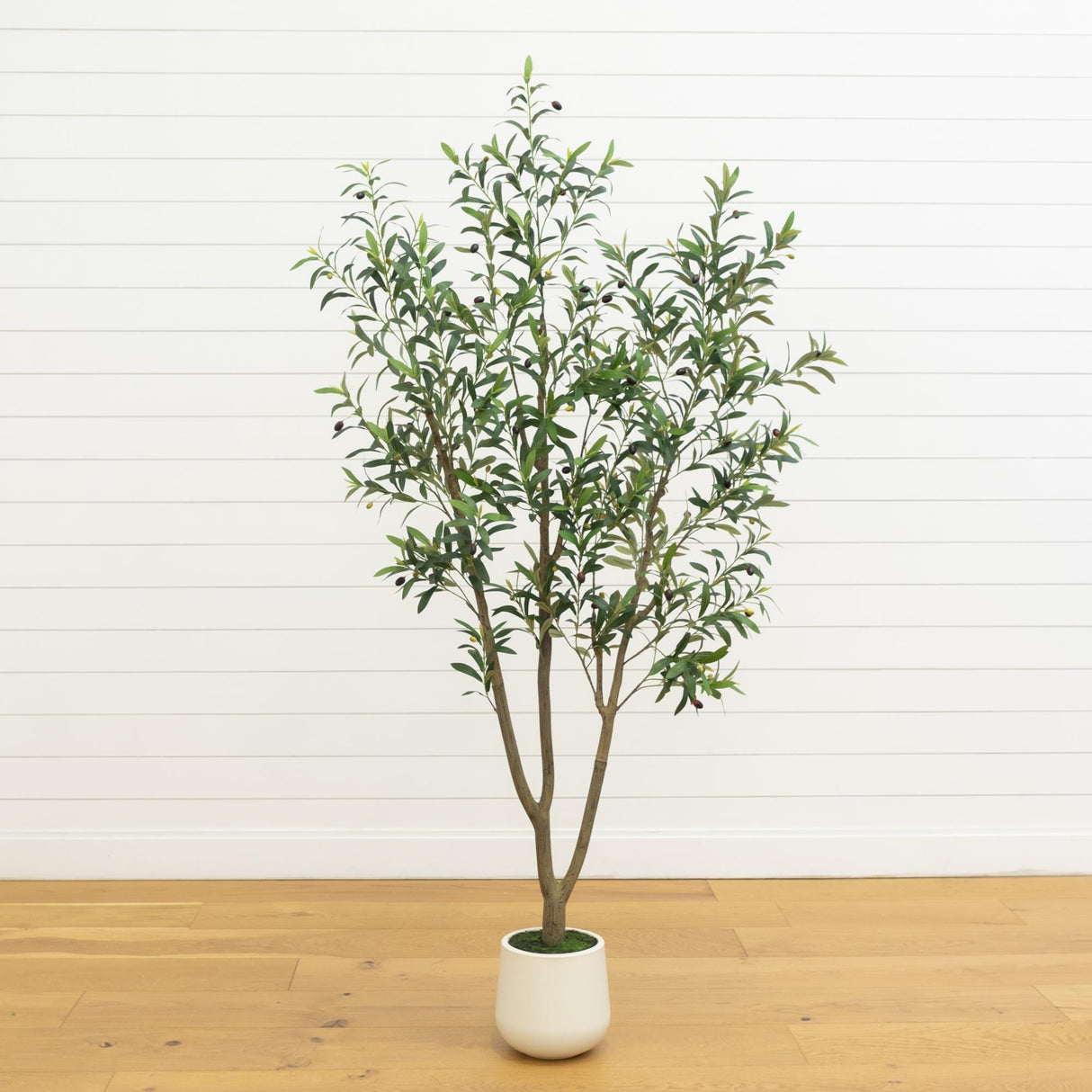 7' Artificial Olive Tree in White Decorative Planter