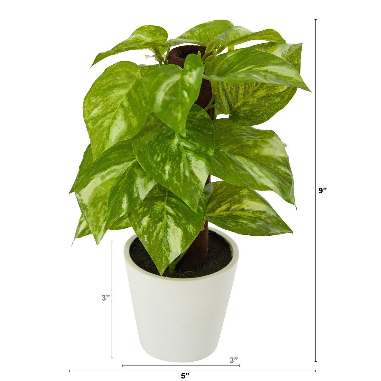 9” Faux Pothos Plant in White Planter (Real Touch)