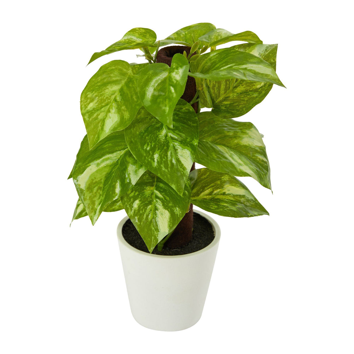 9” Faux Pothos Plant in White Planter (Real Touch)
