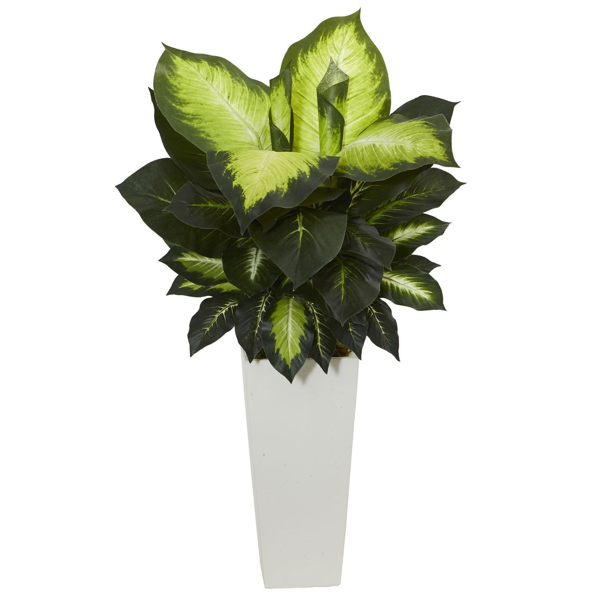 dieffenbachia artificial Golden Dieffenbachia Artificial Plant in White Tower Planter – Tuesday  Morning