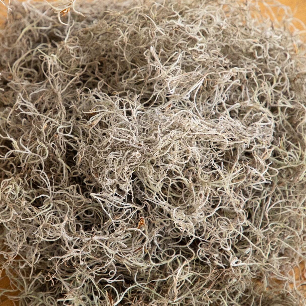 Natural Spanish Moss - 5Lbs