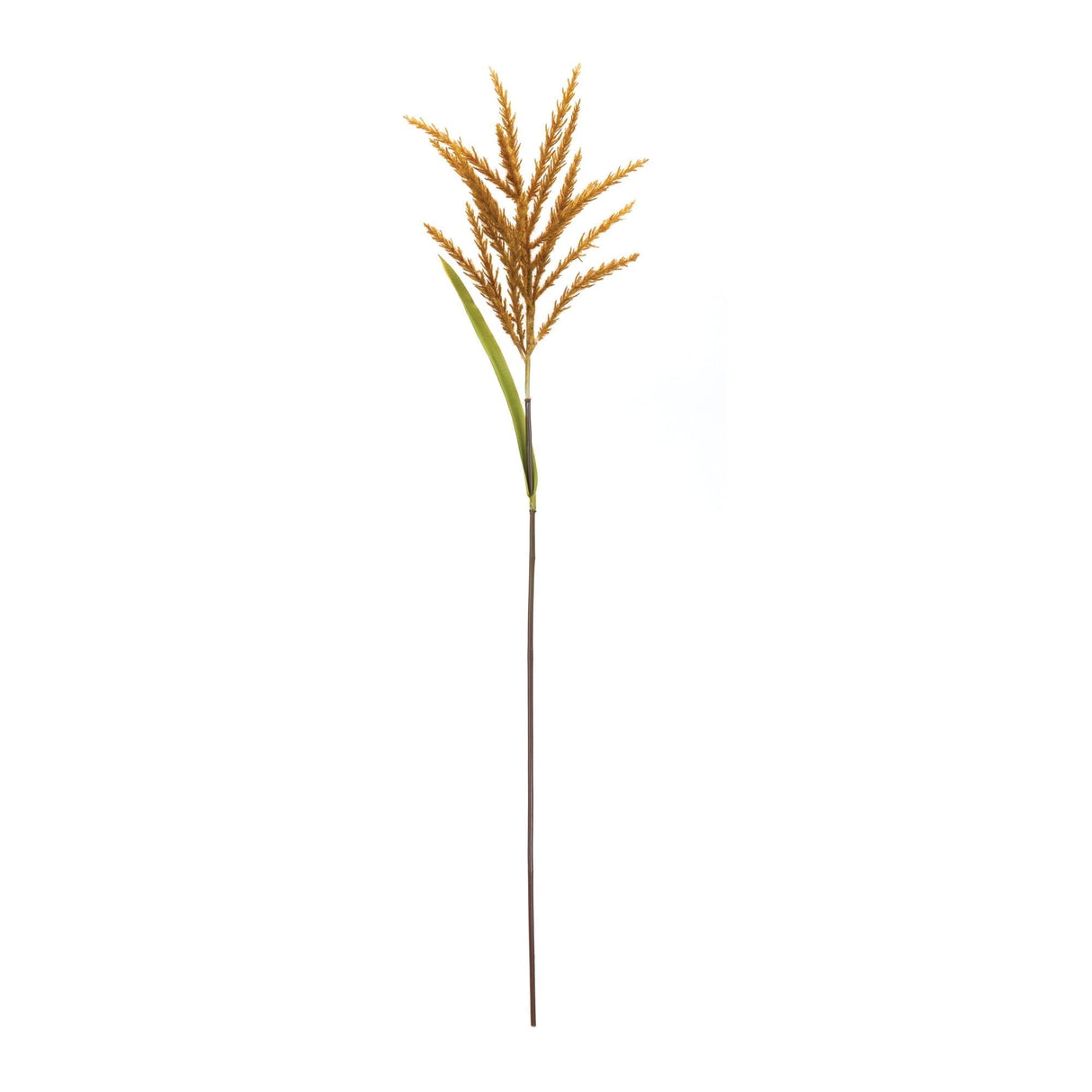 Astilbe stem (set of 12)