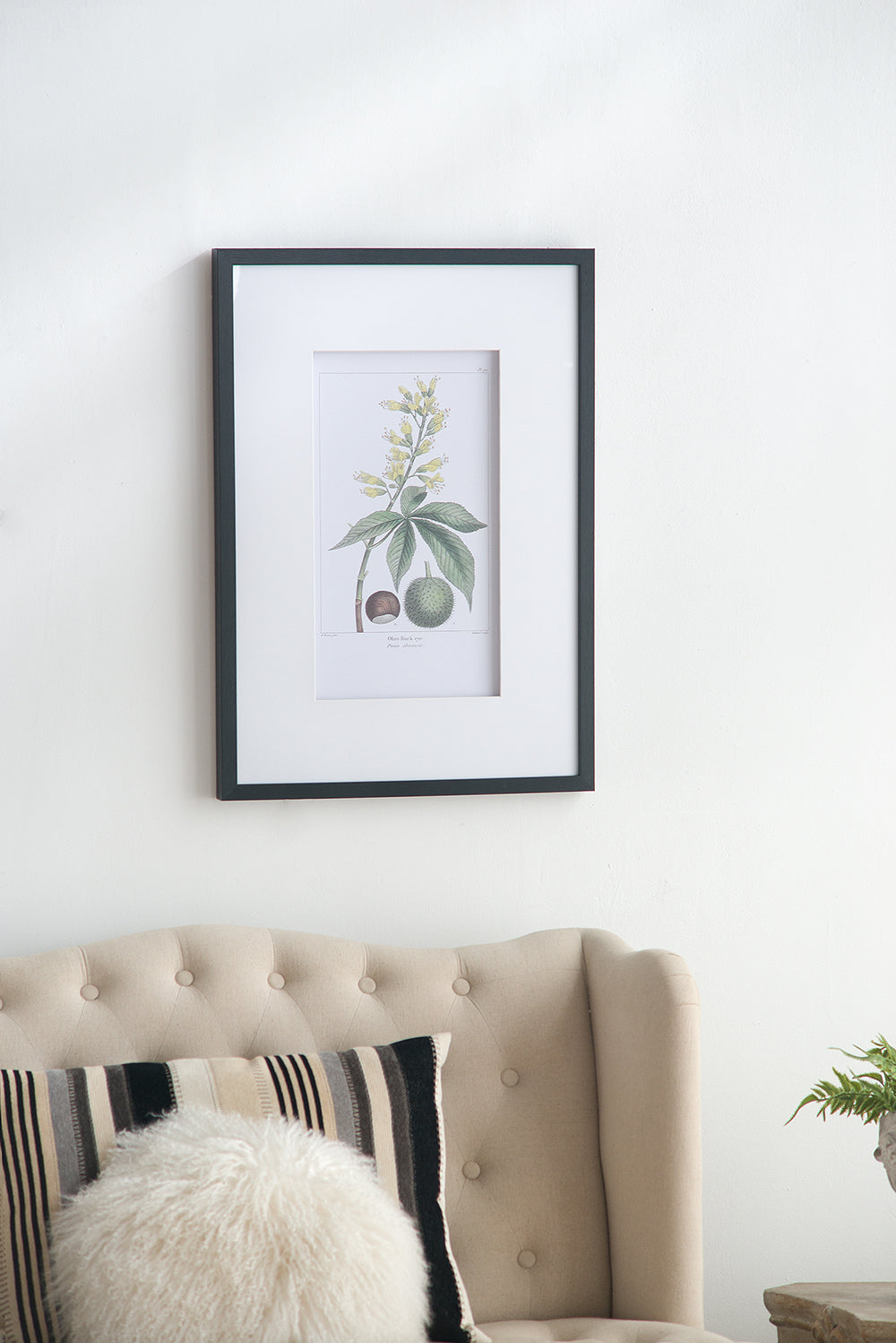 19.7x27.6' Botanical Wall Arts, Set of 2