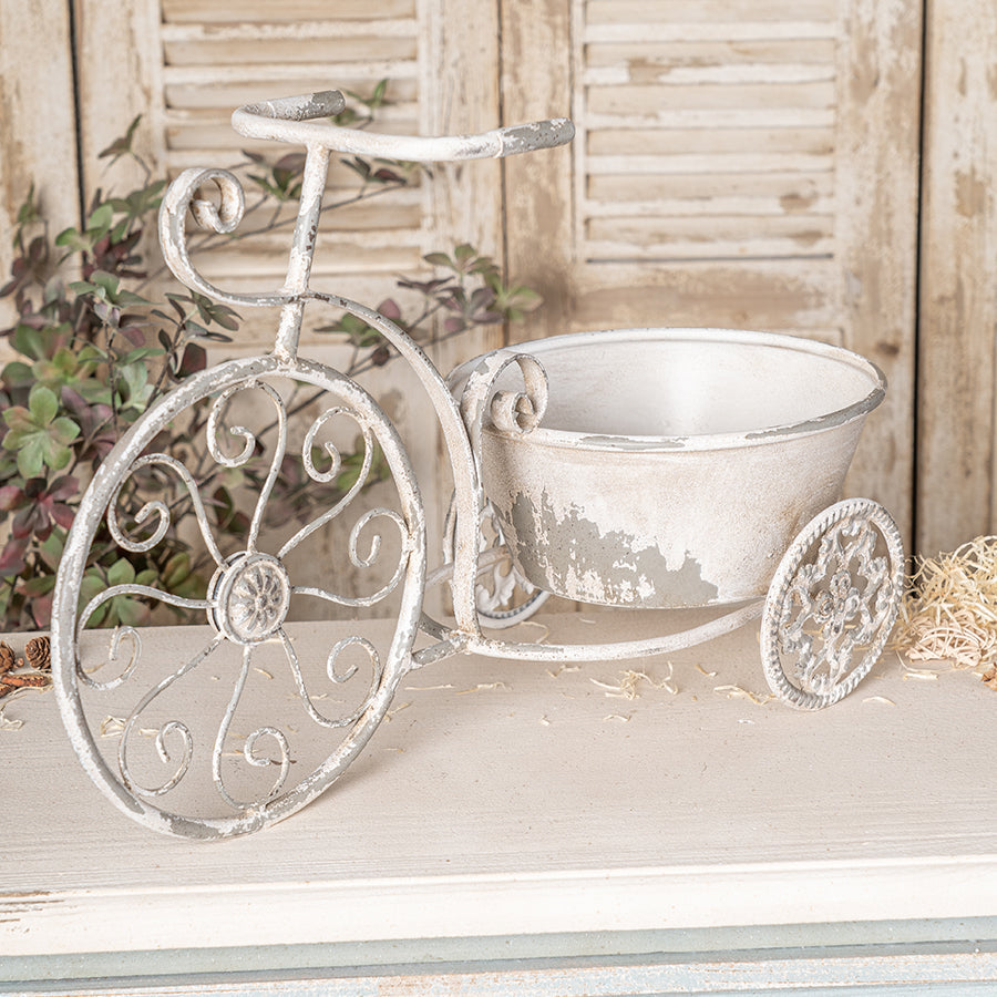 Rustic Bicycle Metal Wire Wall Planter Basket