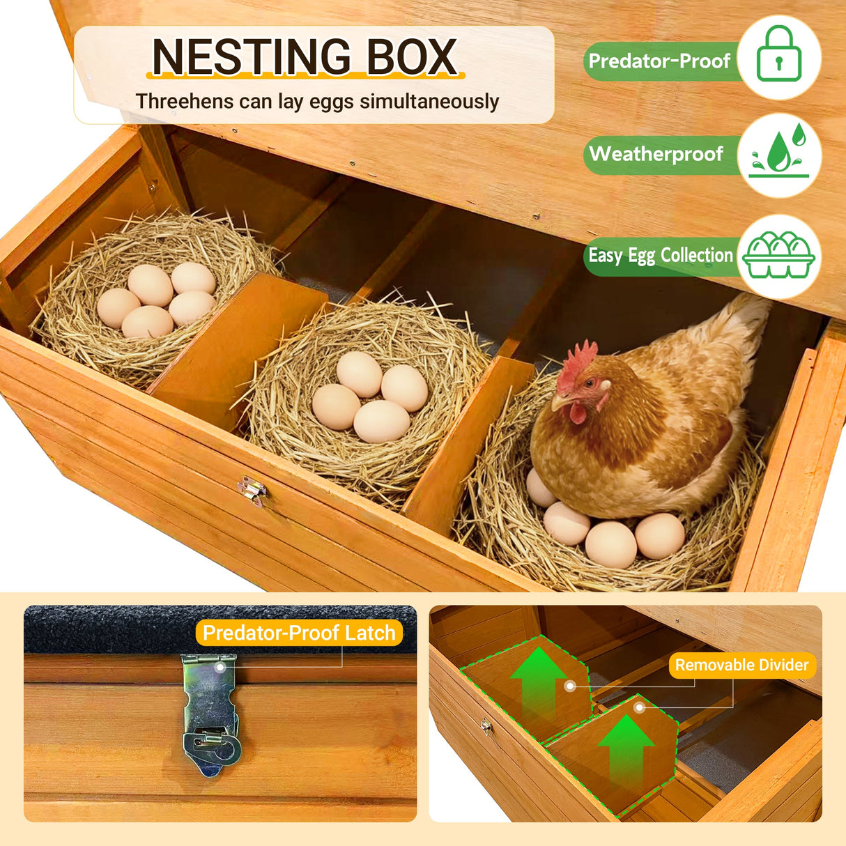 Double-House Wooden Chicken Coop for 6-8 Chickens