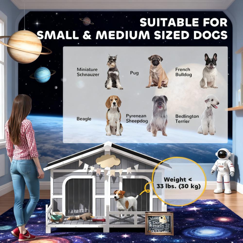 Dog Kennel House Dog House Outdoor