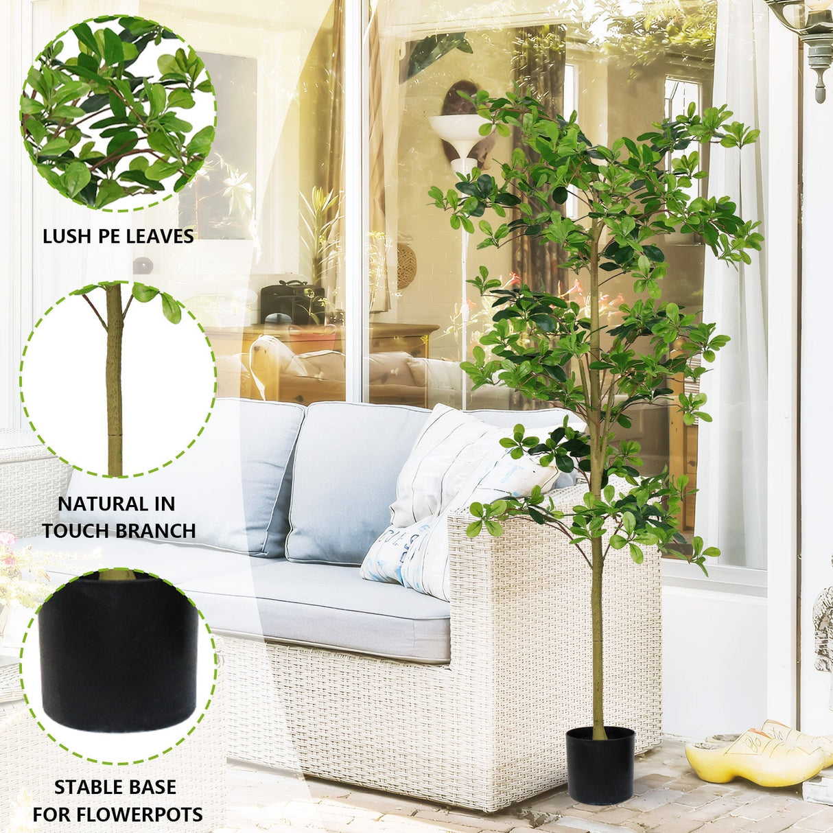 6FT Tall Artificial Polyscias Fruticosa Tree for Indoor Decor