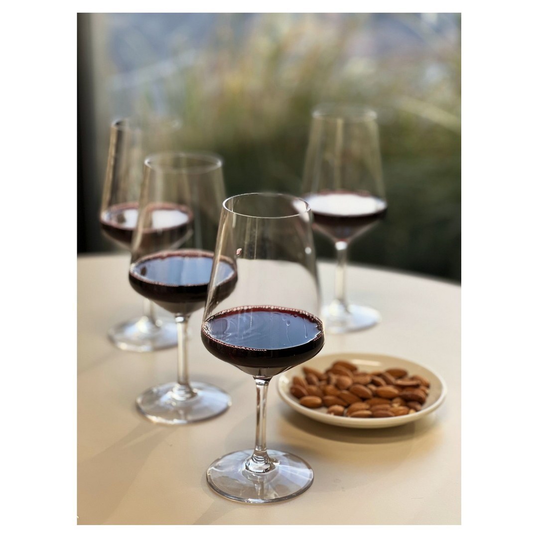 Plastic-Wine-Glasses-Set-of-4-(19oz),-BPA-Free-Tritan-Lexington-Wine-Glass-Set,-Unbreakable-Red-Wine-Glasses,-White-Wine-Glasses-Outdoor-drinkware