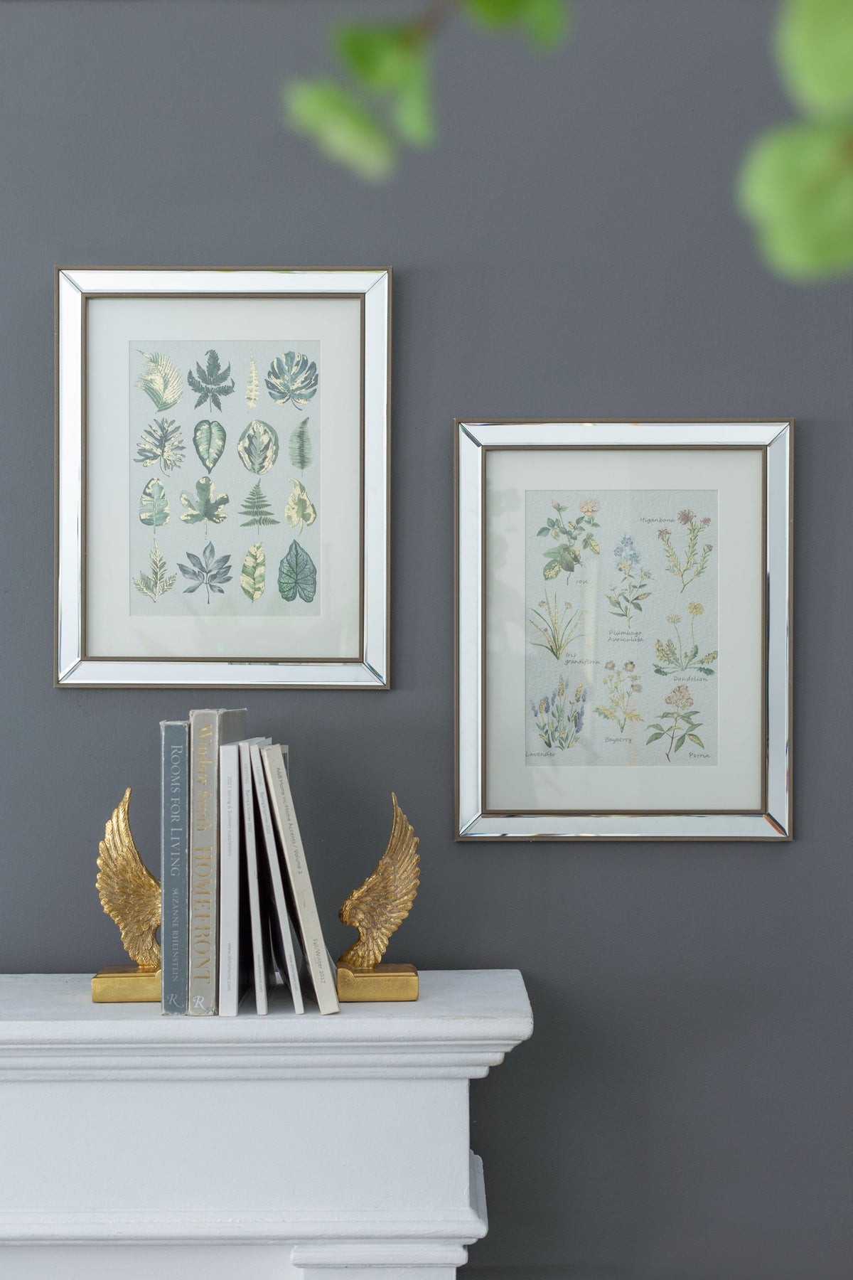 Liana Mirror Framed Wall Art Set with Botanical Designs - Golden Tint