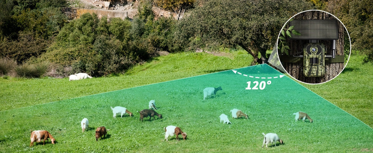 4K Hunting Trail Camera with 4G Live View, Solar Powered & Auto Night Vision