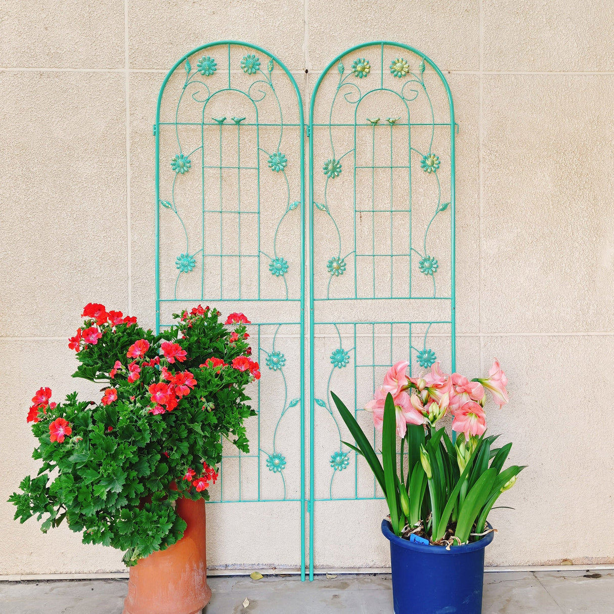 4 Pack Metal Garden Trellis