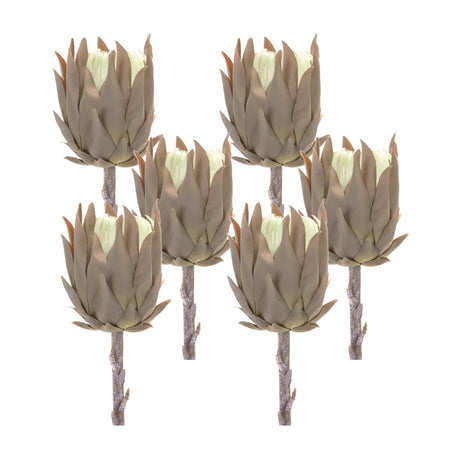 Beige-protea-stem-(set-of-6)-Artificial-Flowering-Plants