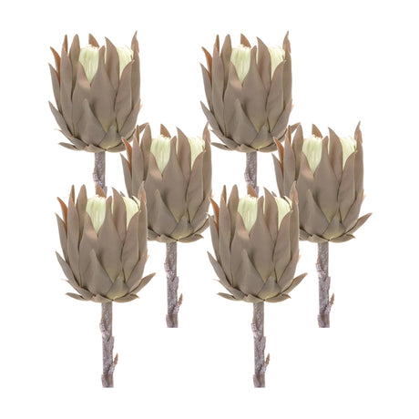 Beige-Protea-Stem-(Set-of-6)-Artificial-Flowering-Plants