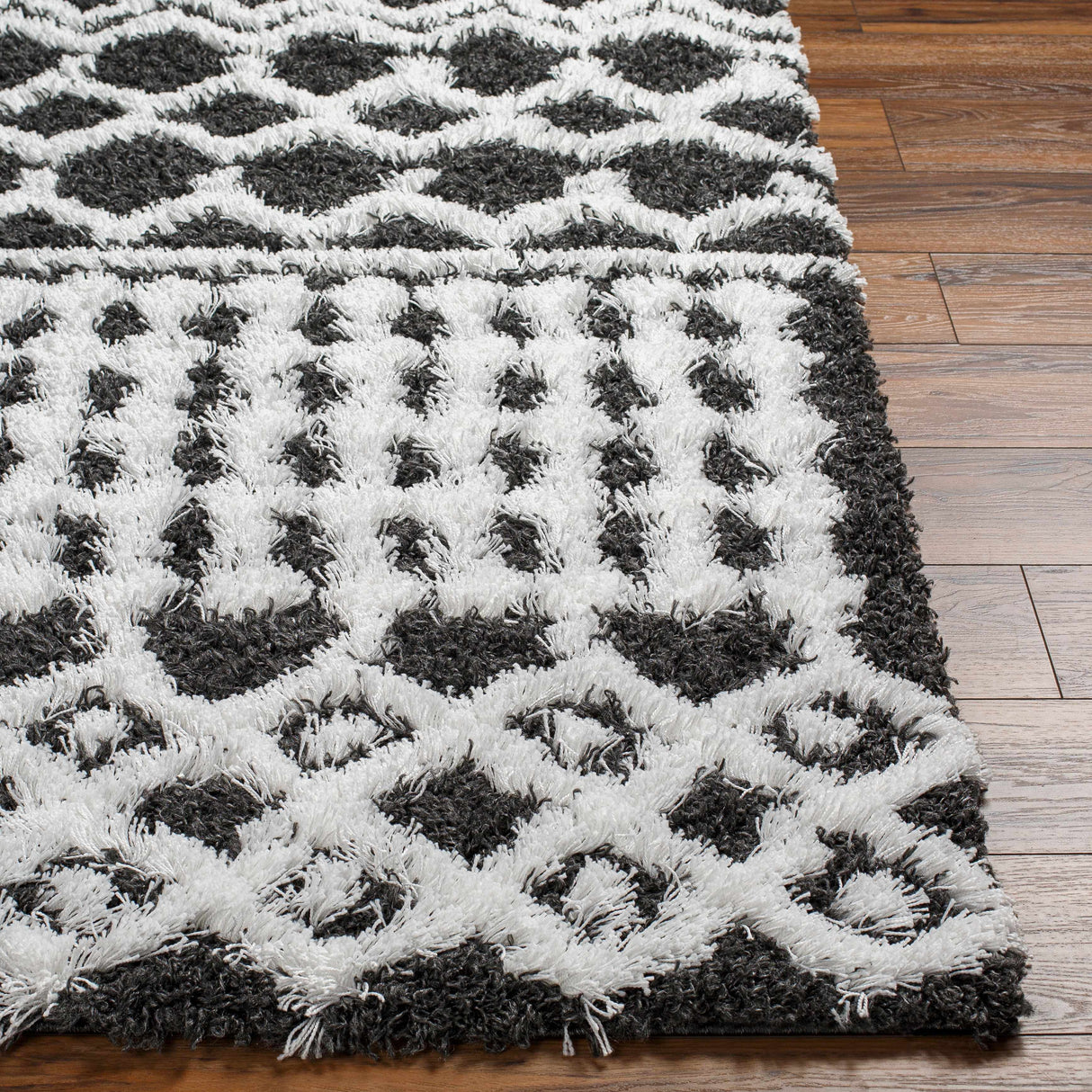 Bente Shag Area Rug