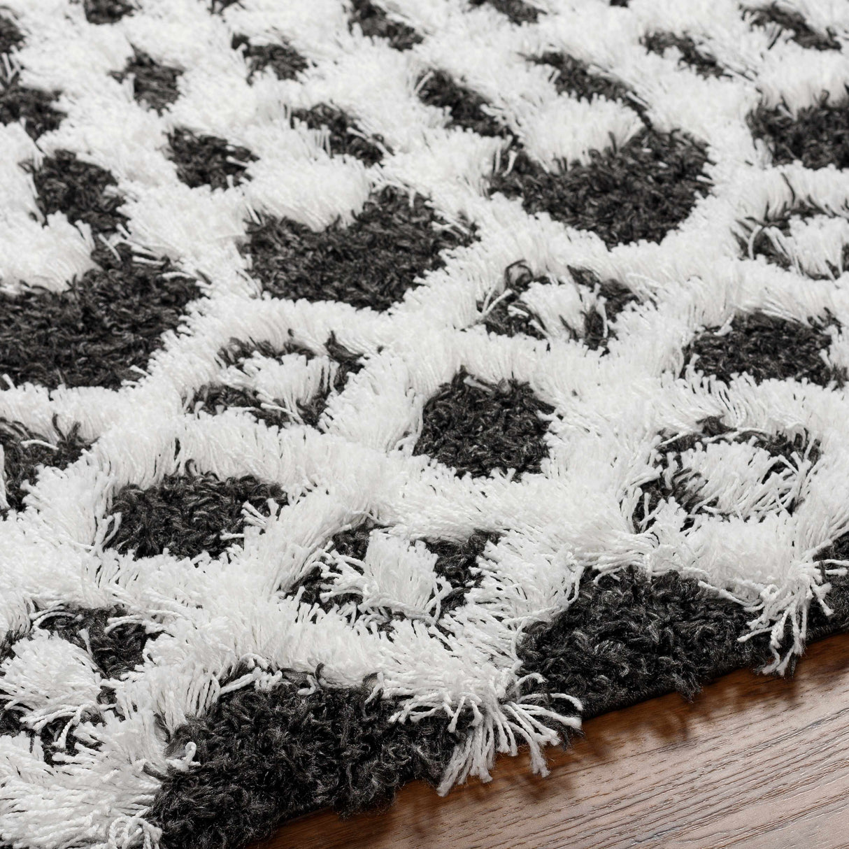 Bente Shag Area Rug