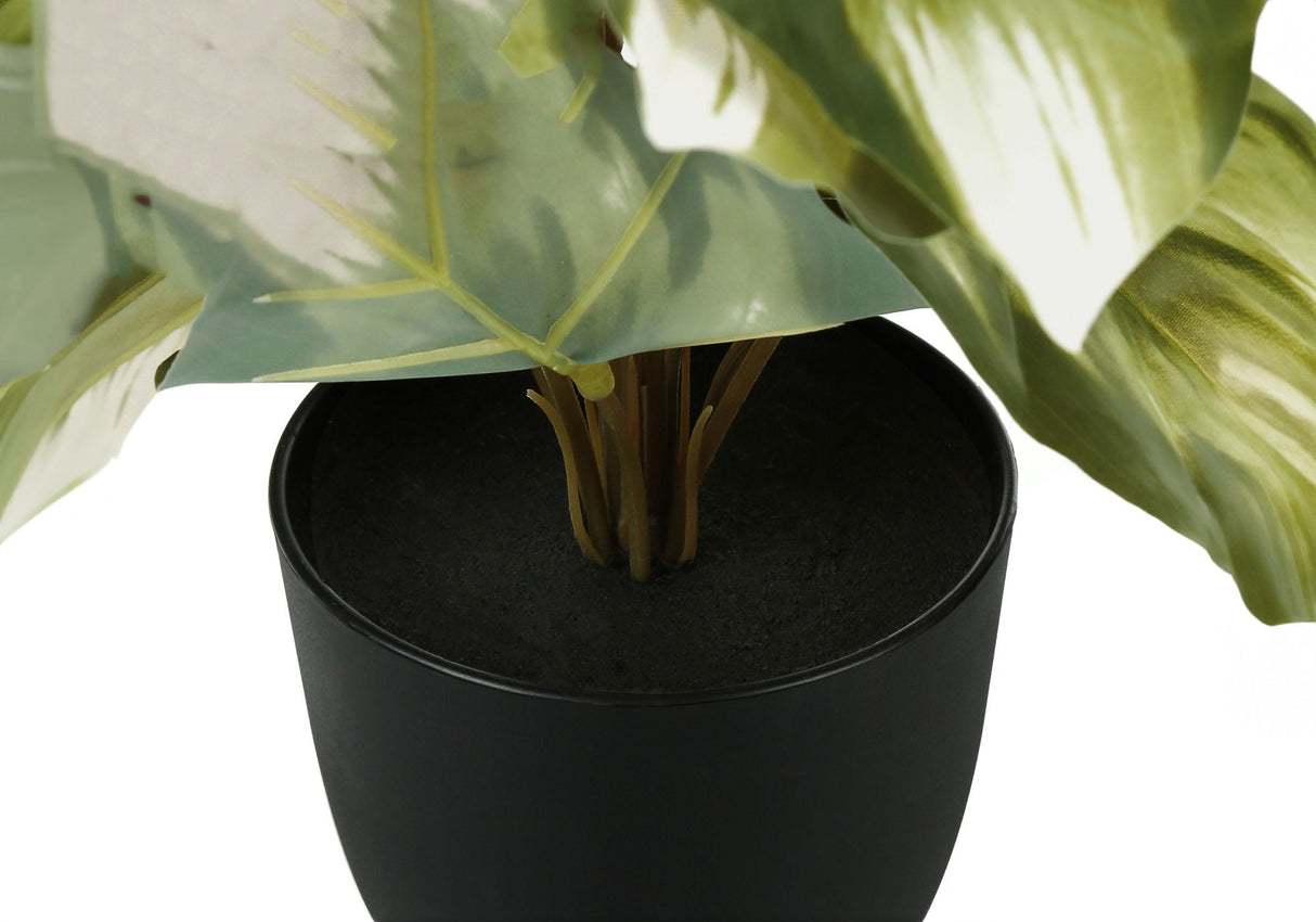 13" Tall Artificial Monstera and Calathea Plants (Set of 2)