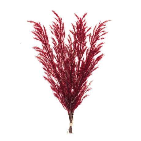 Burgandy-Plume-Bundle-(Set-of-6)-Artificial-Flowering-Plants